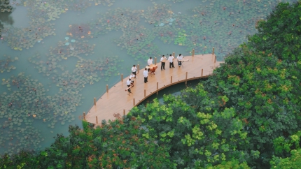 Không chuyên nhưng dám chơi, SV hoà tấu 7 nhạc cụ truyền thống tri ân thầy cô 20/11