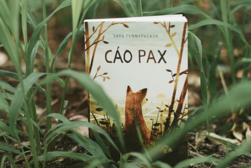 “Cáo Pax” – Vẻ đẹp thương yêu sau màn mưa bụi chiến tranh